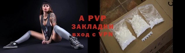 стаф Абинск