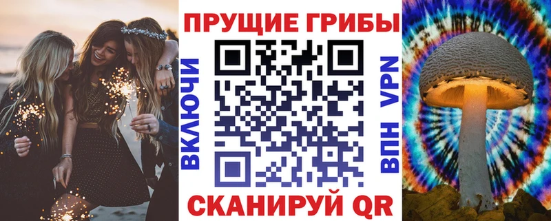 как найти наркотики  Майский  Псилоцибиновые грибы ЛСД 